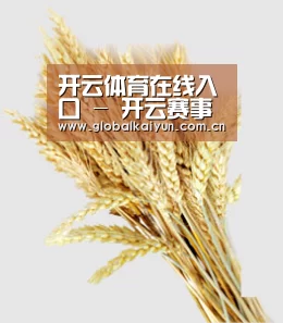 开云体育在线入口 - 开云赛事资讯与比分更新 - 快速导航