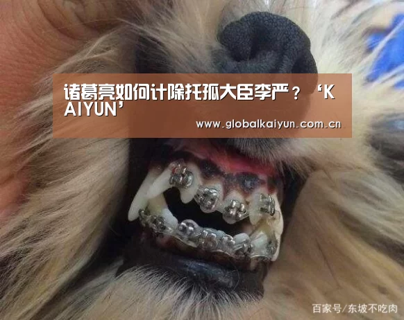 诸葛亮如何计除托孤大臣李严?‘KAIYUN’(图1) 开云体育官方入口
