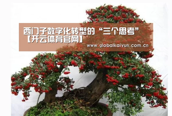 西门子数字化转型的“三个思考”【开云体育官网】(图1) 开云官网