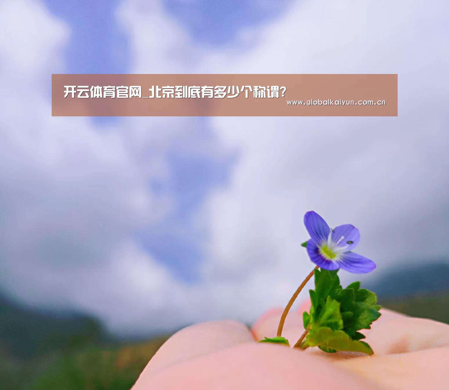 开云体育官方入口