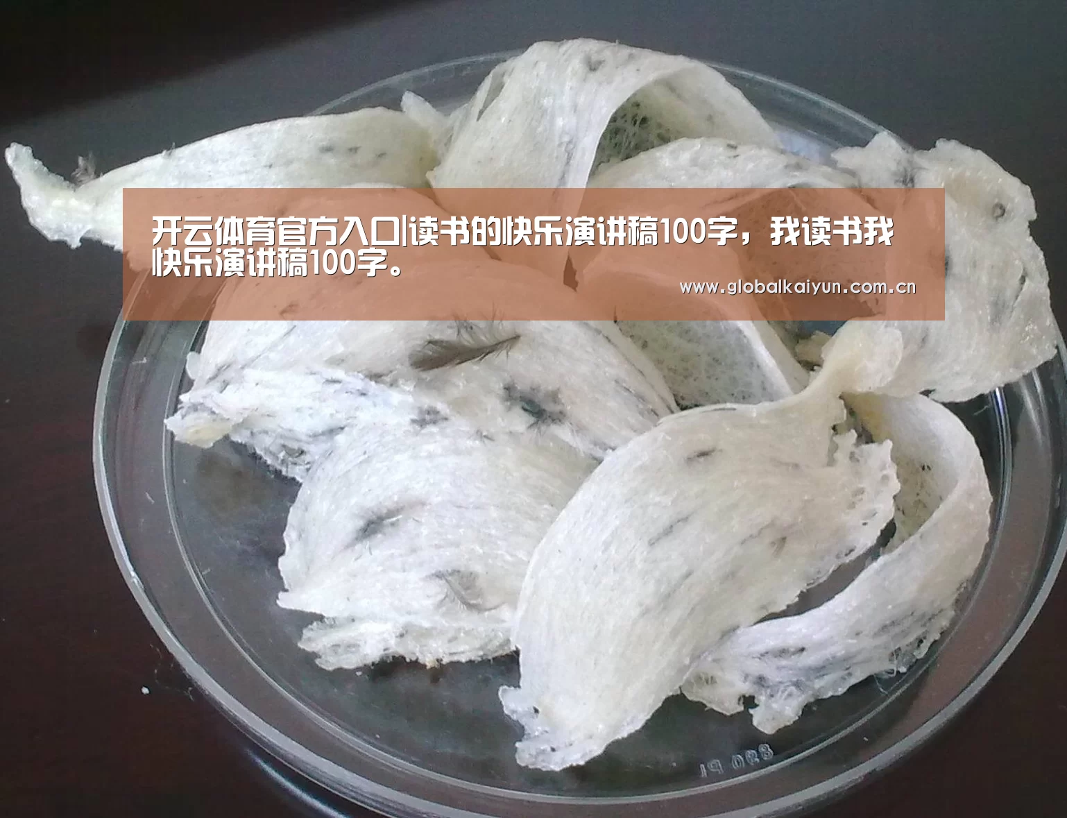 开云体育官网