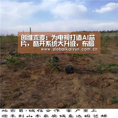 创维求变:为电视打造AI芯片,酷开系统大升级,布局4K内容:开云体育官网(图1) 创维求变:为电视打造AI芯片,酷开系统大升级,布局4K内容:开云体育官网(图1)
