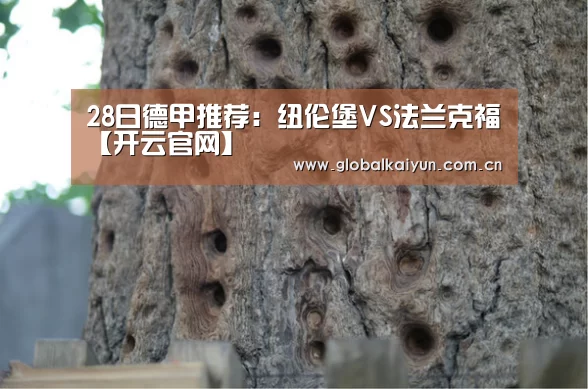 开云体育官网