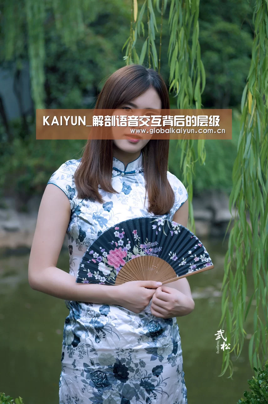 KAIYUN_解剖语音交互背后的层级(图2) 开云官网