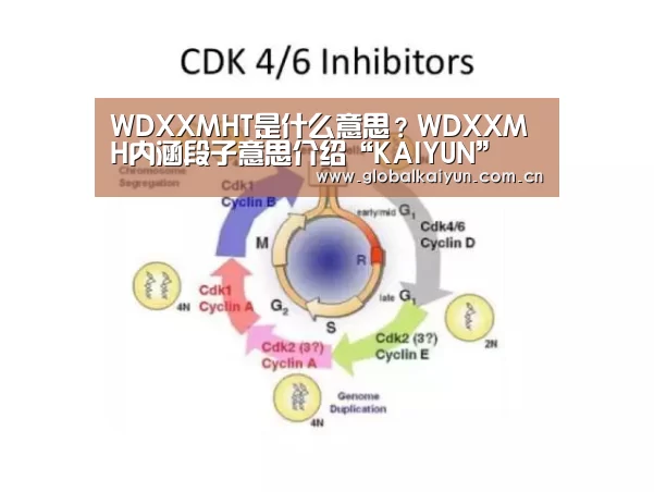 WDXXMHT是什么意思?WDXXMH内涵段子意思介绍“KAIYUN”(图1) 开云赛事资讯