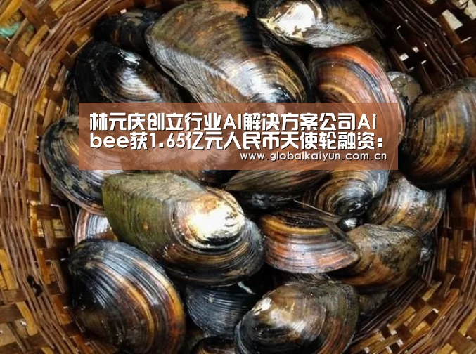 林元庆创立行业AI解决方案公司Aibee获1.65亿元人民币天使轮融资:KAIYUN(图2) 开云体育官方入口